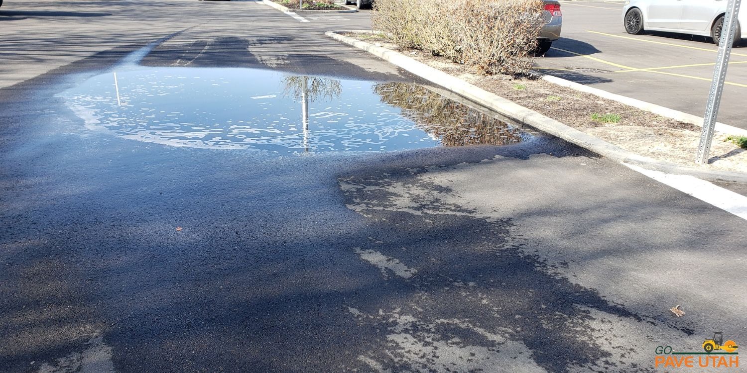 From Snow Melt to Standing Water Why February Drainage Problems Shouldn’t Be Ignored