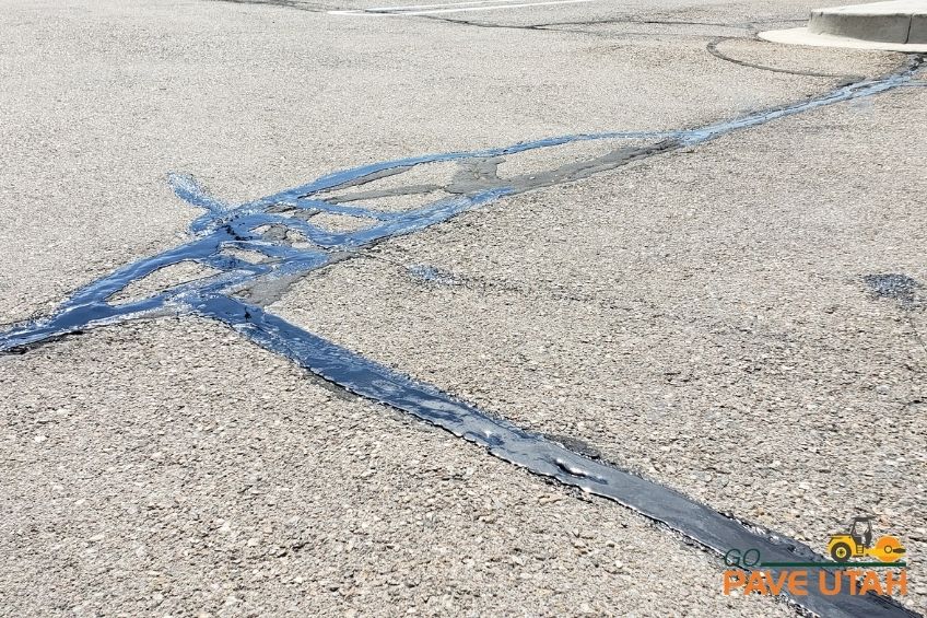Read the Cracks What Asphalt Damage Is Telling Utah Property Managers